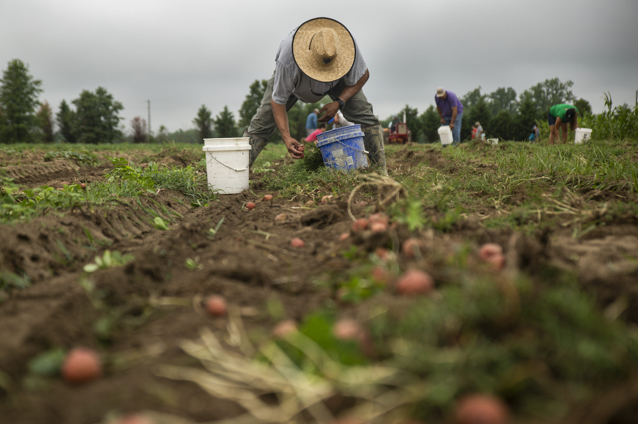 RCP2019_CoharieHarvest_181-scaled.jpg